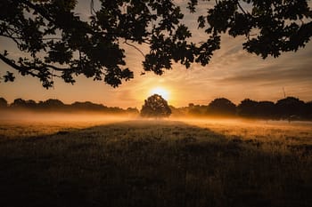 simon-wilkes-uH5OXBhnSNg-unsplash